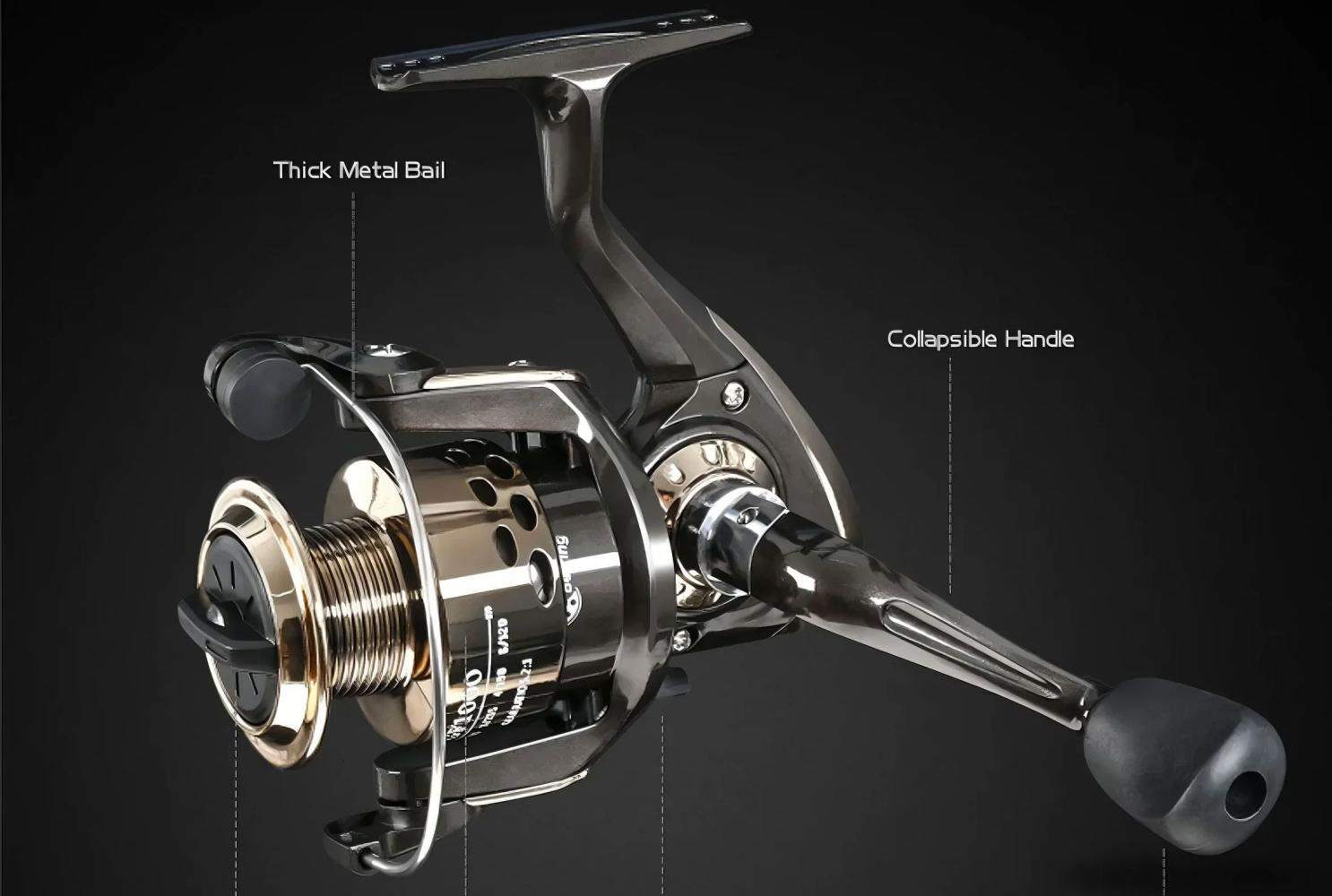 How to Choose Fishing Reels: A Complete Beginner-Friendly Guide