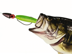 Lure Selection Guide: Weight, Type, and Practical Tips